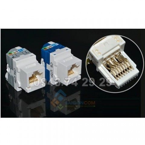 Nhân mạng cat6e Gigabit