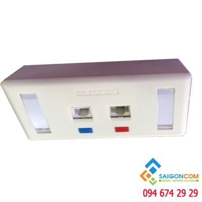 Bộ Wall Plate AMP 2 Port /OUTLET  đôi ( Nhân + Đế + Mặt)