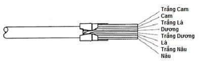 Đầu bấm dây mạng AMP RJ45 Cat6