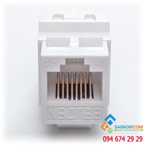 AX101309 - Nhân mạng BELDEN Cat5e UTP