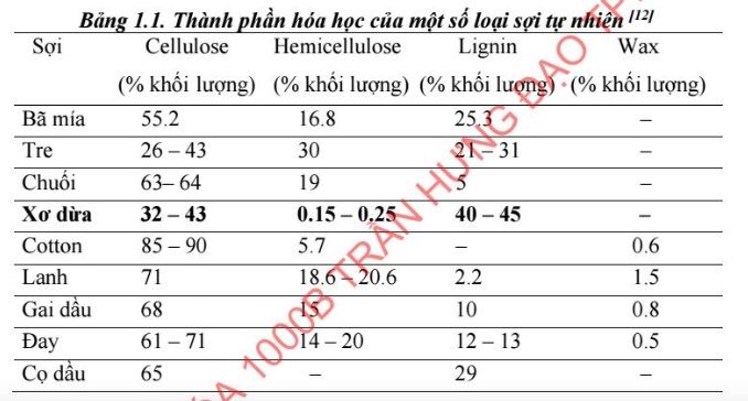 bang soi thuc vat 1