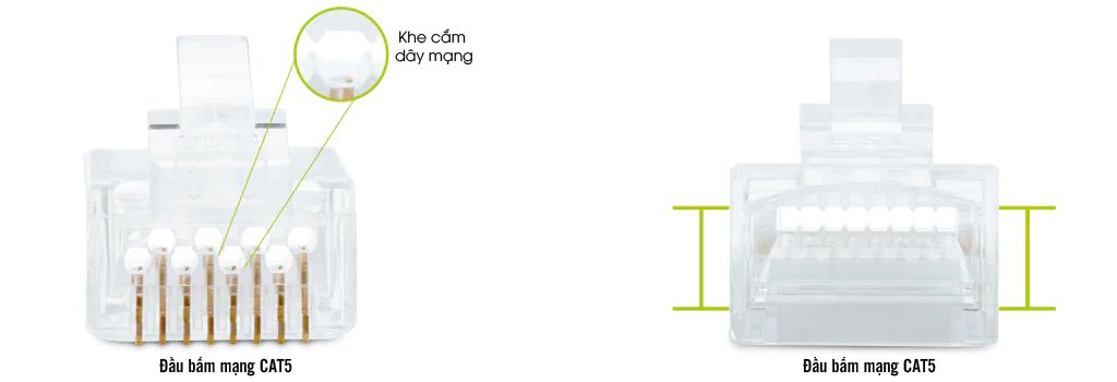 đầu bấm mạng CAT5 vs đầu bấm mạng CAT6